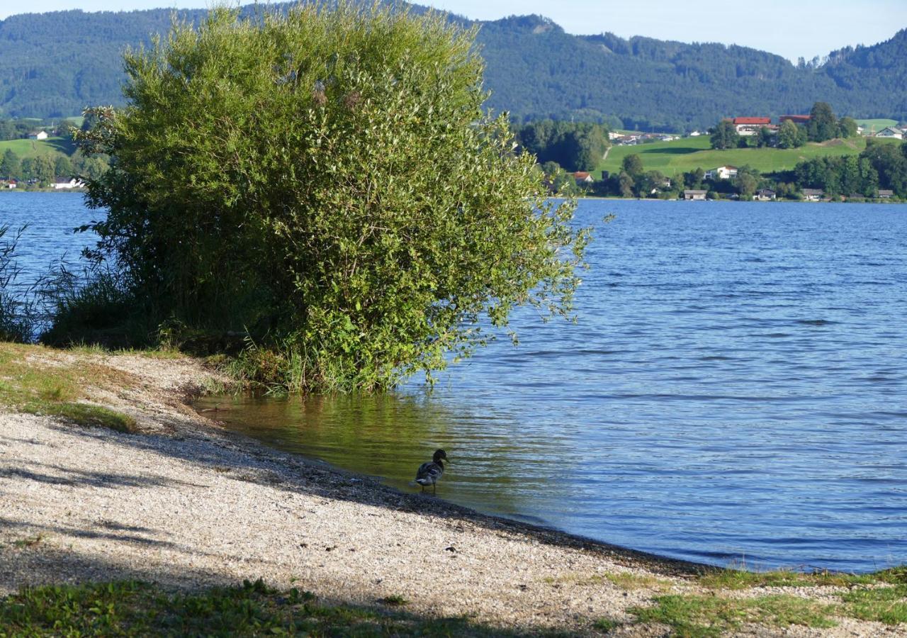 Refugio Del Lago Seekirchen am Wallersee Exteriör bild