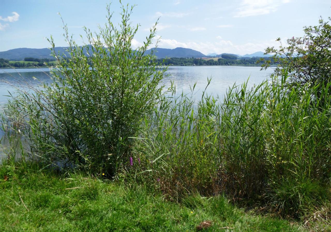 Refugio Del Lago Seekirchen am Wallersee Exteriör bild