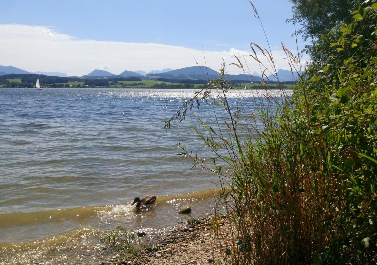 Refugio Del Lago Seekirchen am Wallersee Exteriör bild